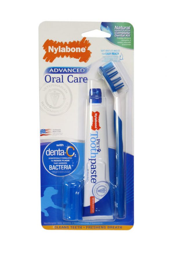 Nylabone Oral Dental Kit Reviews - Black Box