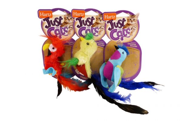 Hartz Chirping Bird Cat Toy Reviews - Black Box