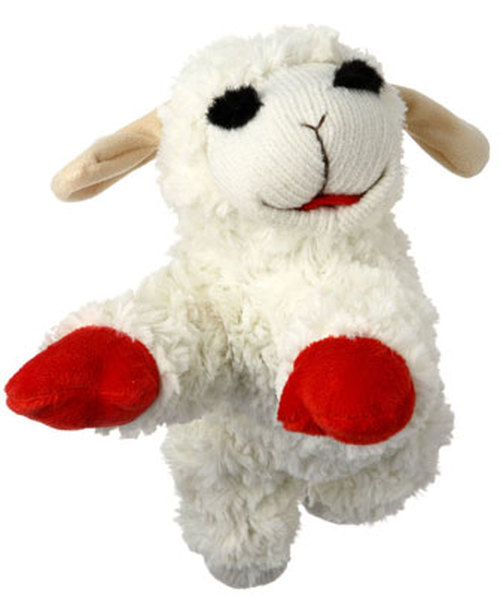 lamb chop multipet