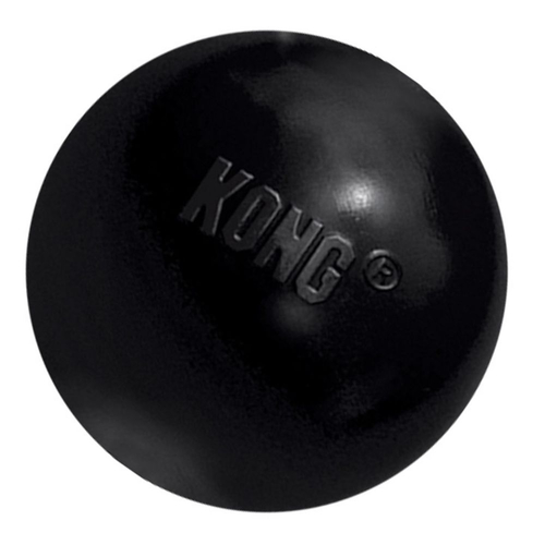 what can you put in a kong ball