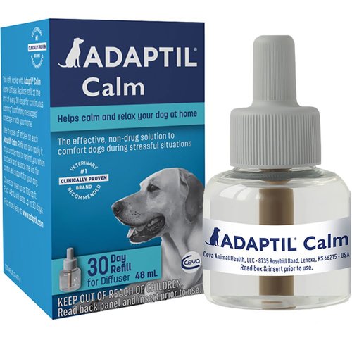 Dap for dogs best sale