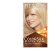 Revlon Hair Colour 04 Ultra Light Natural Blonde